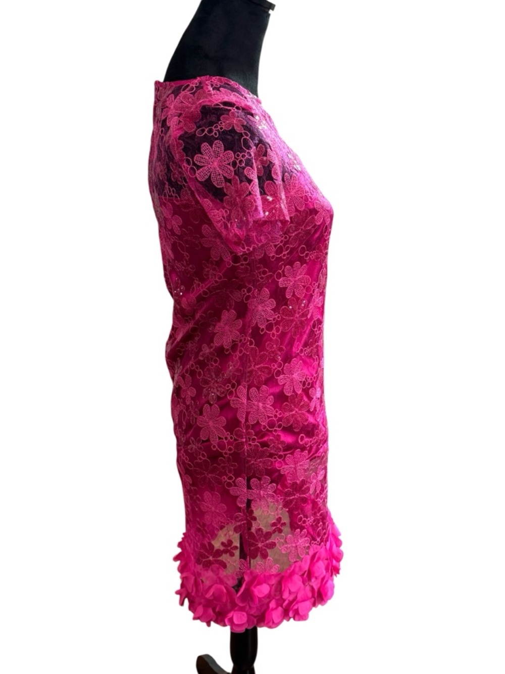Alex Marie Pink Lace Floral Dress Sz 2 Embroidered Sequin Party Cocktail Dress - Picture 5 of 10